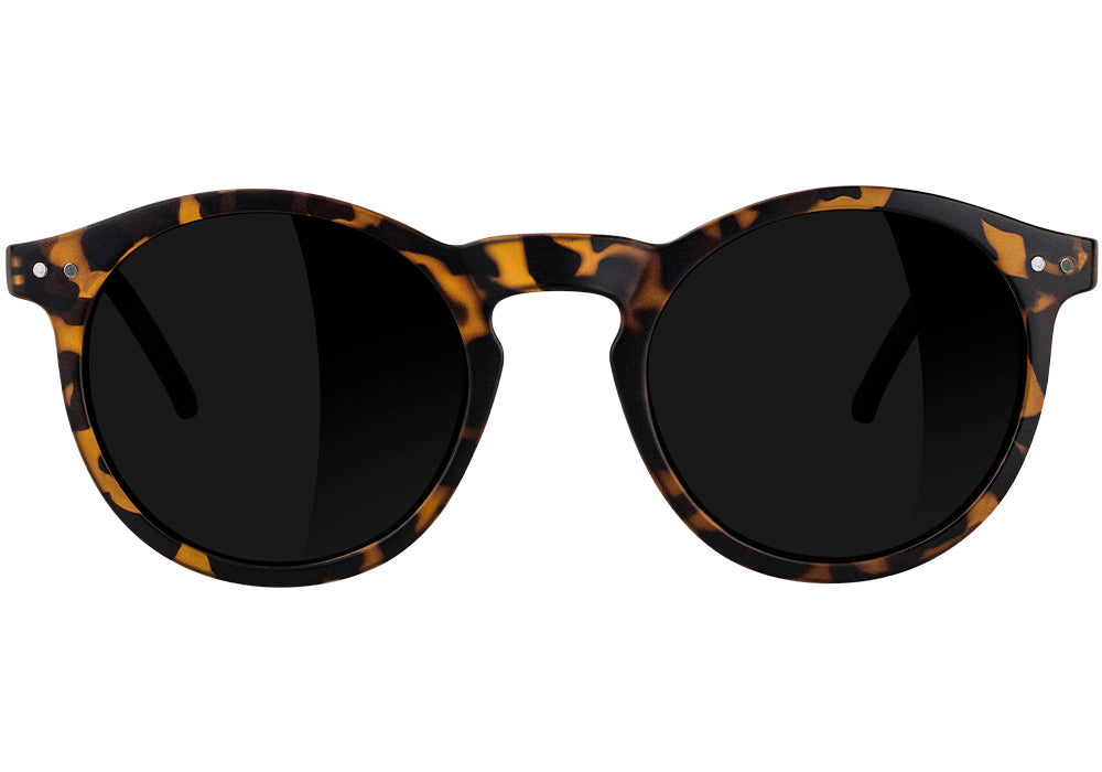 Apollo Matte Tortoise Polarized Sunglasses Front