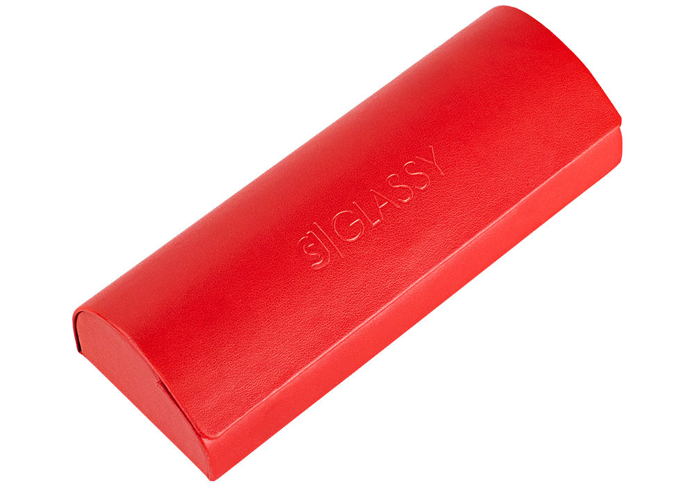 Bliss Black Gold Prescription Glasses Case