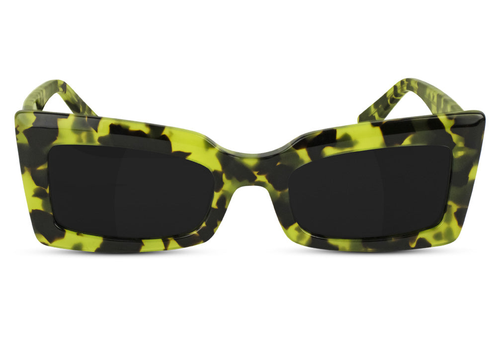 Elliot Tortoise Polarized Sunglasses Front