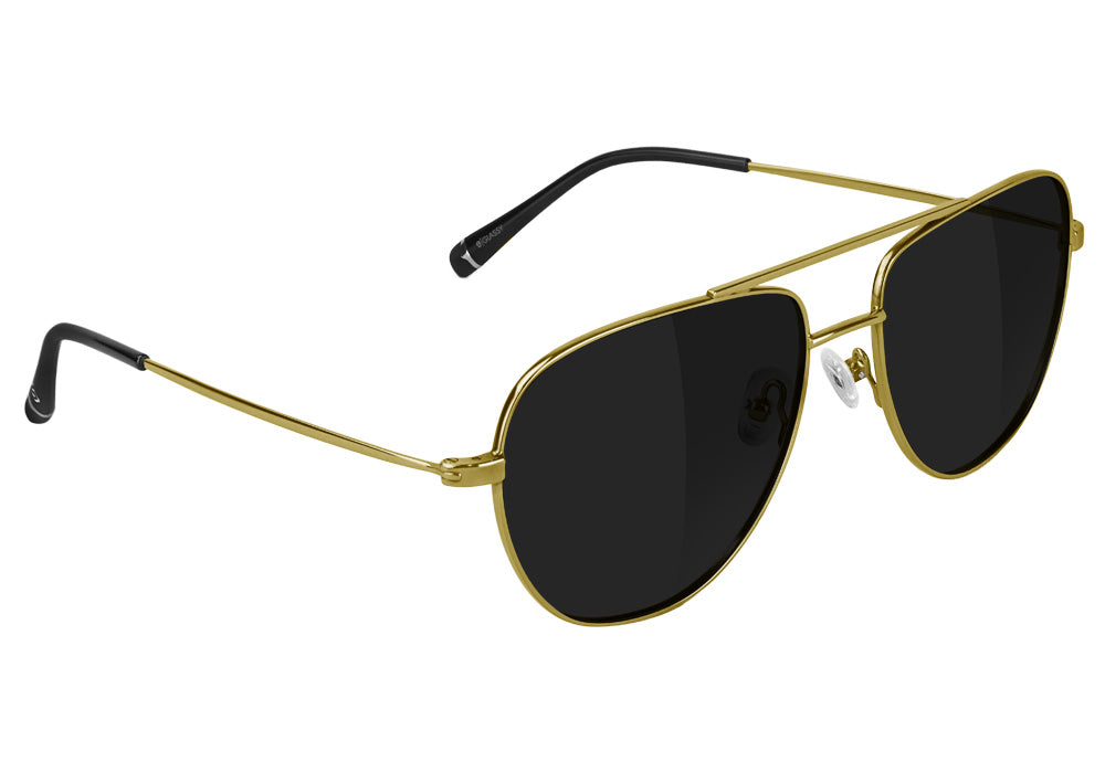 Neen Aviator Gold Polarized Sunglasses