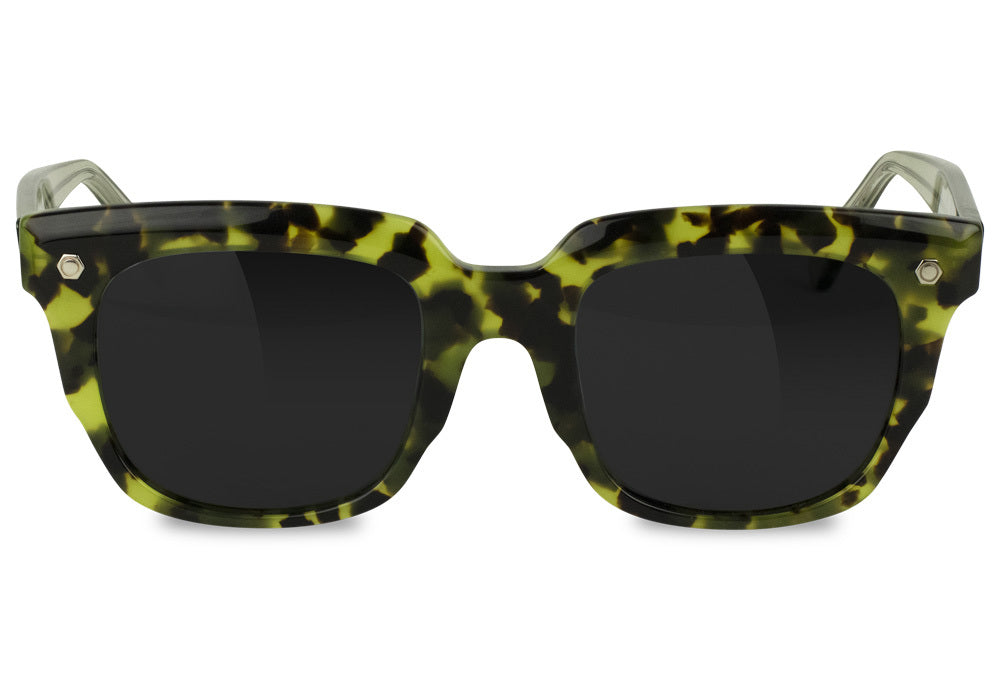 Bently Tortoise Polarized Sunglasses
