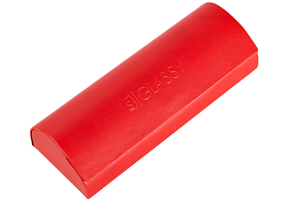 Bliss Red Blue Light Blocking Gaming Glasses Case Closed