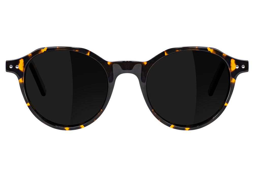 Olsen Premium Polarized Plus GLASSY Gafas de sol en tortoise para Mujer –  TITUS