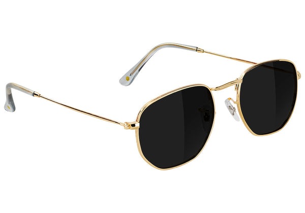Turner Gold Polarized Sunglasses