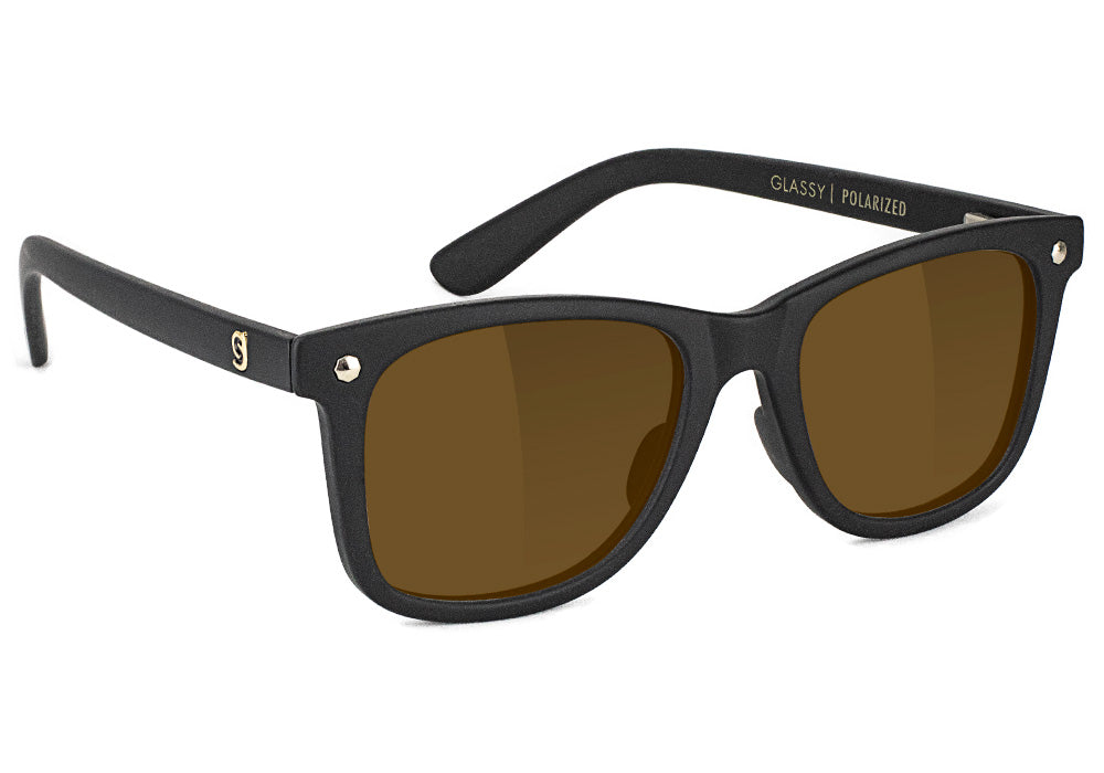 Mikemo Matte Black Brown Polarized Sunglasses